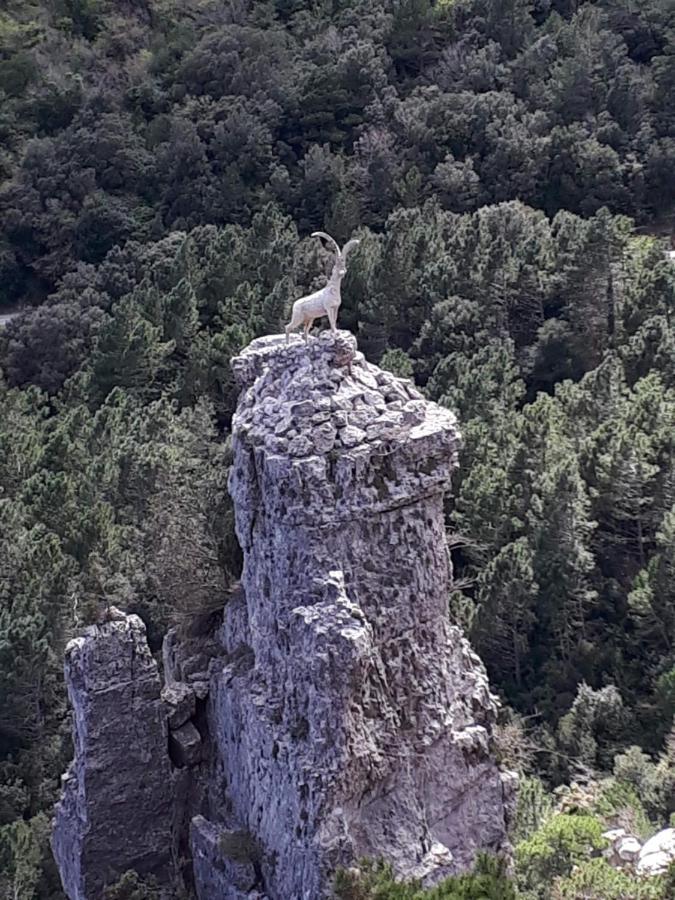 Casa De Bello Tortosa Eksteriør billede